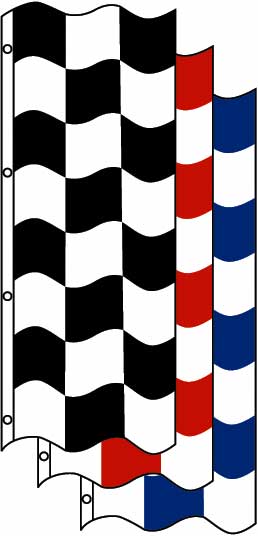 3' x 8' Checkered Flag {EZ364}