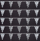 Checkered Polyethylene Triangle Pennants {EZ306}