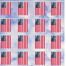 60ft. U.S. Flag Cloth Pennant {EZ307}