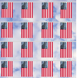 60ft. U.S. Flag Cloth Pennant {EZ307}
